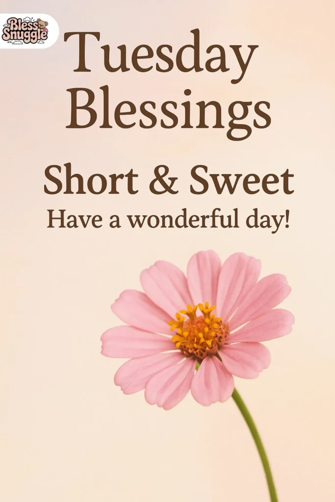 Short & Sweet Tuesday Blessings