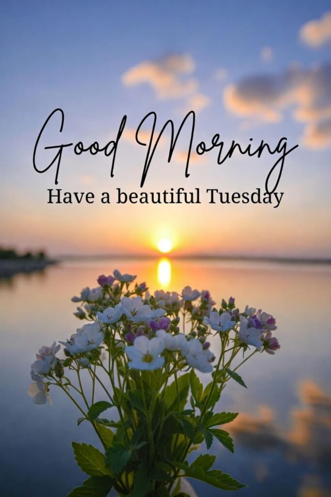 Beautiful Good Morning Tuesday Blessings