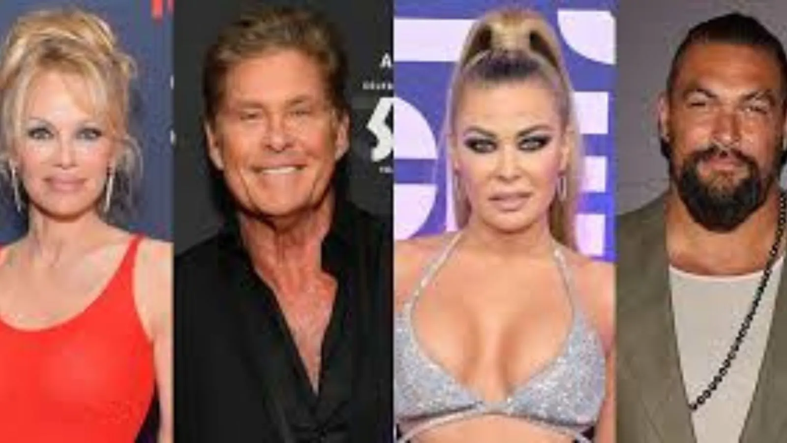 Erika eleniak net worth