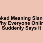 geeked meaning slang