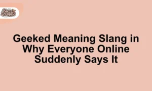 geeked meaning slang