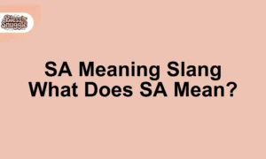 sa meaning slang